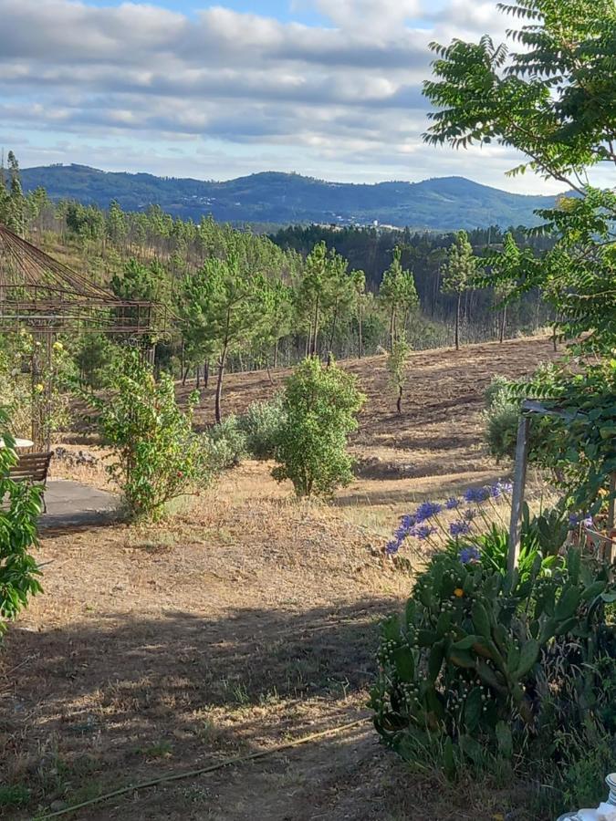 Colos Vale De Garcia Al 5357别墅 外观 照片