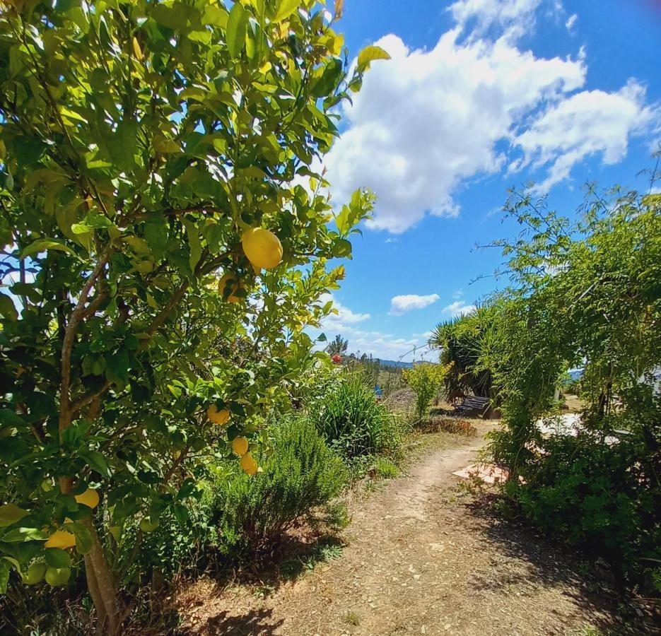 Colos Vale De Garcia Al 5357别墅 外观 照片